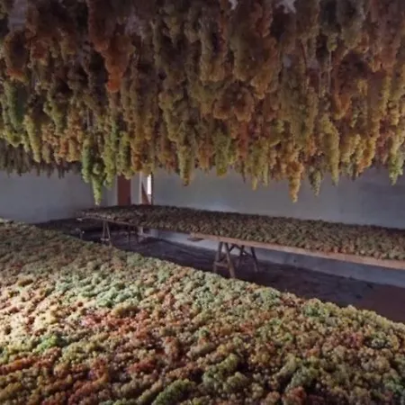 Agritourismus Vigne Di Pace Appartement